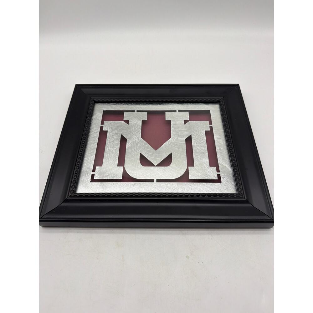 University‎ of Montana Logo in a Picture Frame with a Metal Background  8x10